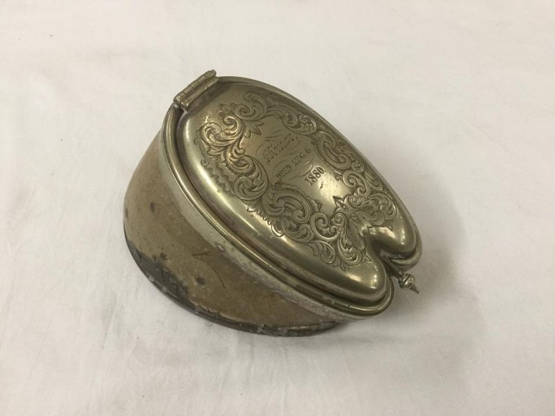 Horse Hoof Snuff Box